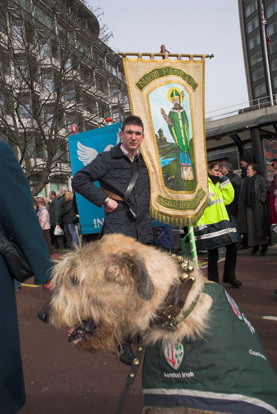 St Patrick's Day Parade, London © 2006, Peter Marshall