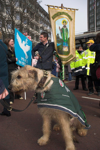 St Patrick's Day Parade, London © 2006, Peter Marshall