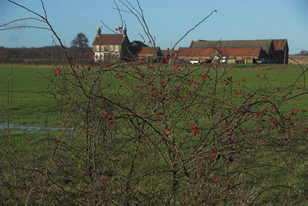 London Loop: Chigwell to Harold Wood © Peter Marshall. 2007