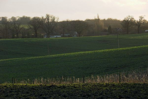 London Loop: Chigwell to Harold Wood © Peter Marshall. 2007