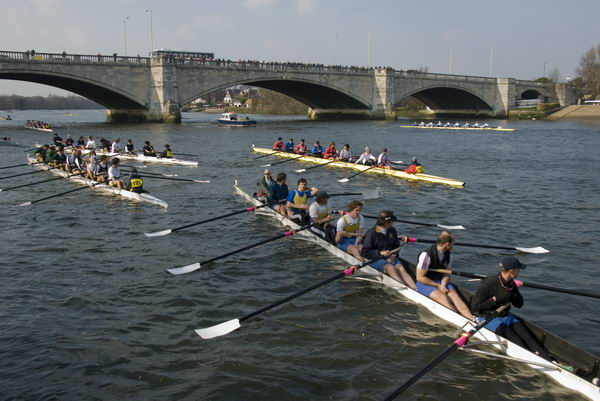 Head of the River Race © 2007, Peter Marshall