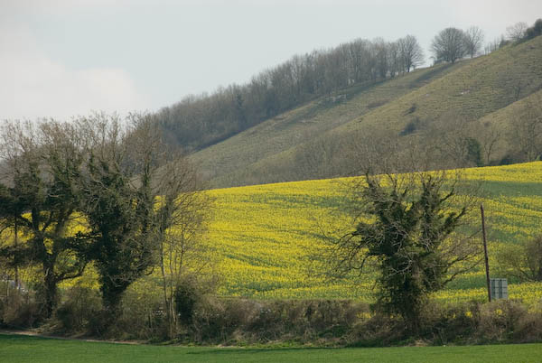 Amberley, Sussex © 2007, Peter Marshall